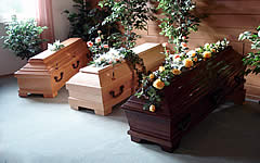 Bestatter Hameln - Bestattungs- und Beerdigungsinstitut Bartels in Hameln - Ihr Beerdigungsinstitut für Erdbestattungen - Feuerbestattungen - Seebestattungen in Hameln